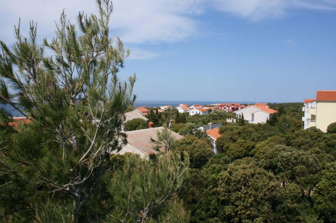 Apartments And Rooms With Parking Space Mandre, Pag - 6309 Kolan Exteriér fotografie